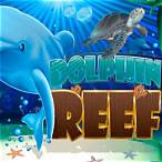 slot game dolphin